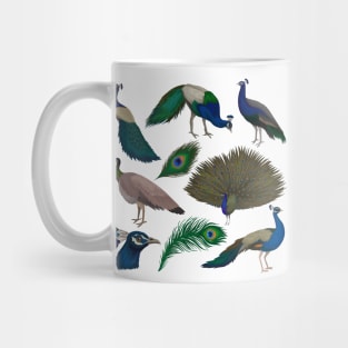 Peacock Collection Mug